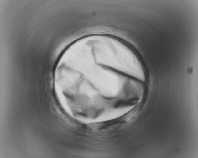 X0000112901509200909181923