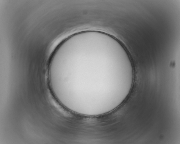 X0000112901511200909181923