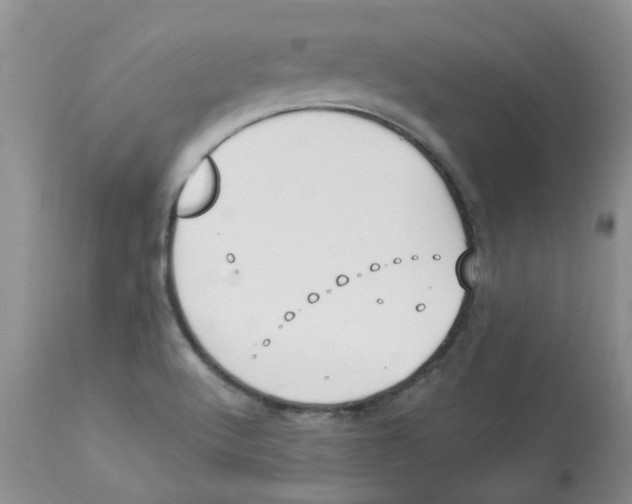 X0000112901512200909181923