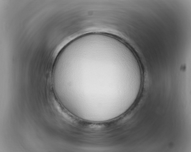 X0000112901513200909181923