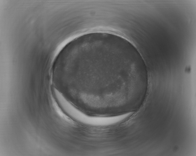 X0000112901515200909181923