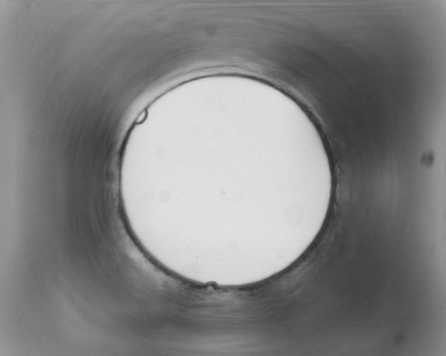 X0000112901516200909181923