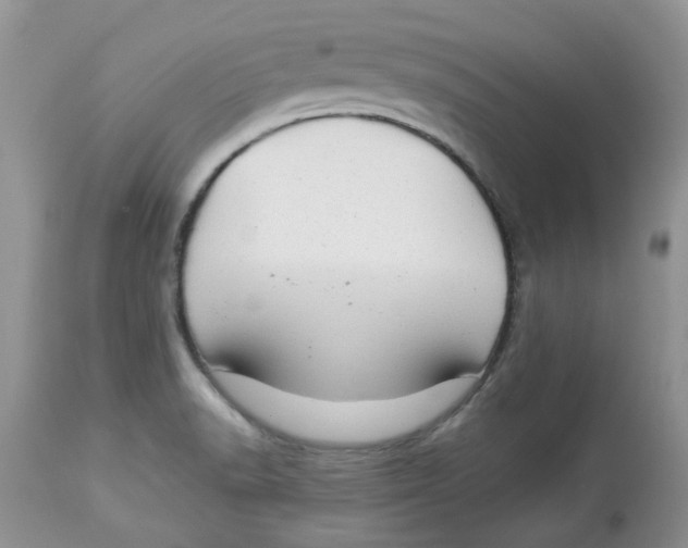 X0000112901518200909181923