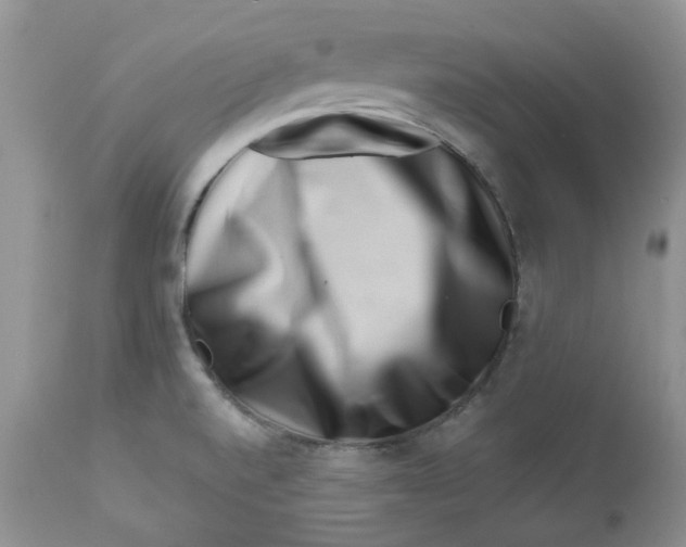 X0000112901520200909181923