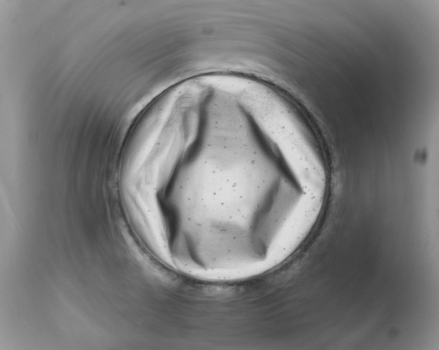 X0000112901521200909181923