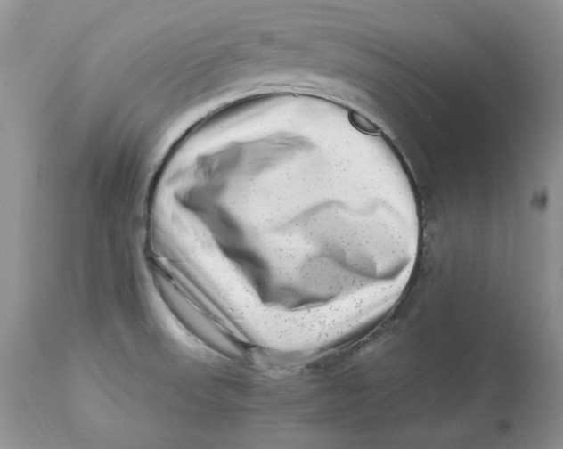 X0000112901523200909181923