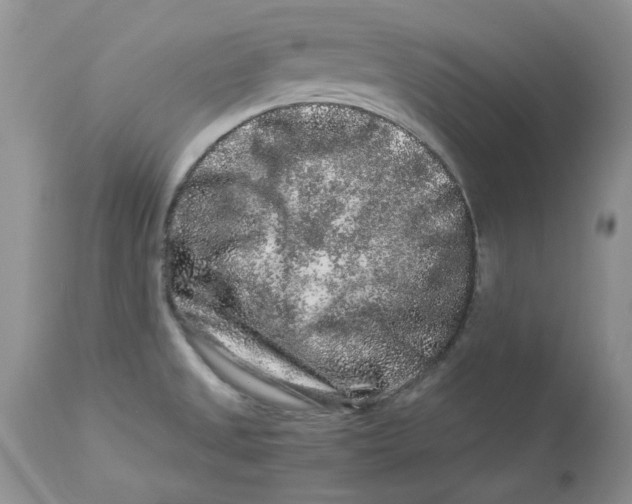 X0000112901525200909181923