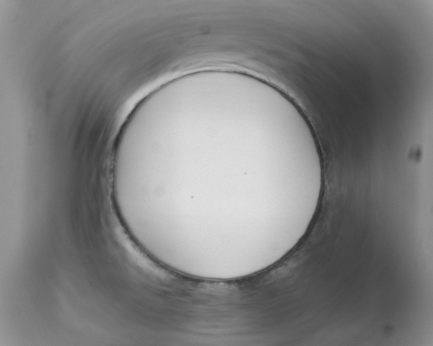 X0000112901526200909181923