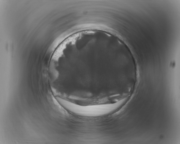 X0000112901529200909181923