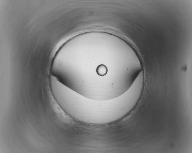X0000112901530200909181923