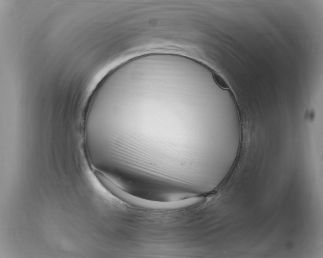 X0000112901531200909181923