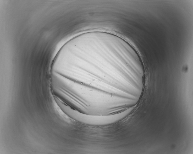 X0000112901532200909181923