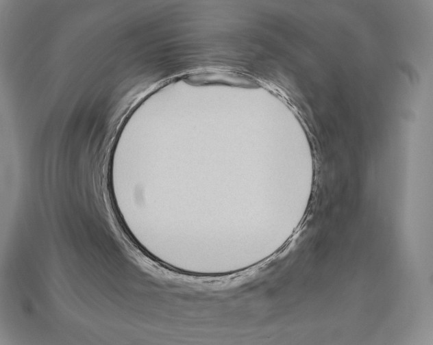 X0000112900001200910021444