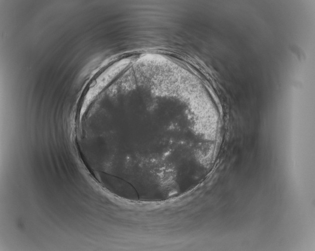 X0000112900002200910021444