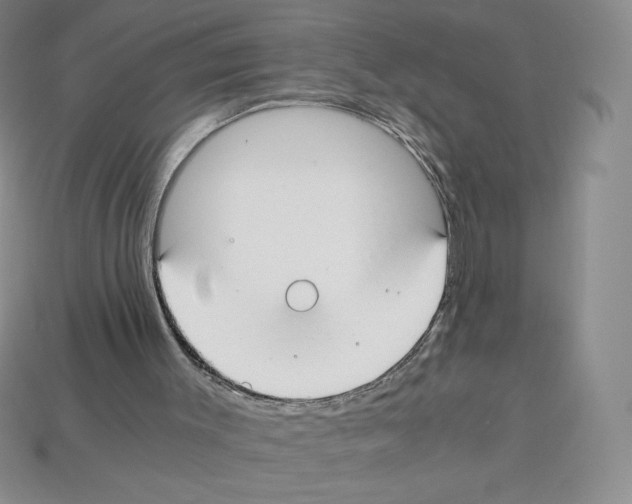 X0000112900003200910021444