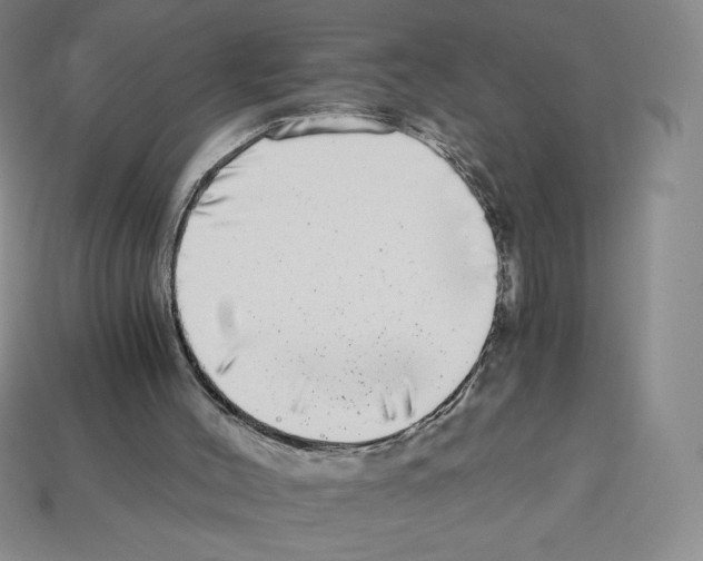 X0000112900004200910021444