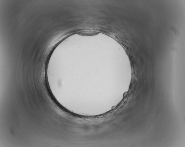 X0000112900005200910021444