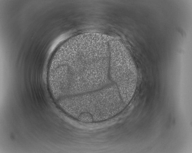 X0000112900006200910021444