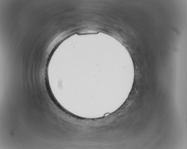 X0000112900007200910021444