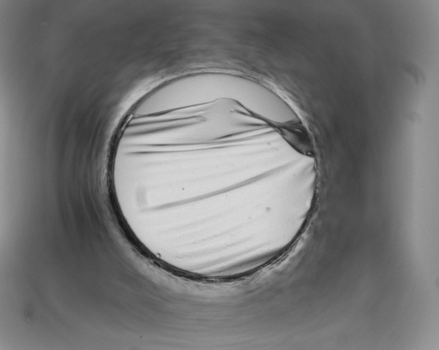 X0000112900008200910021444