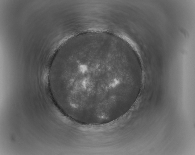 X0000112900009200910021444