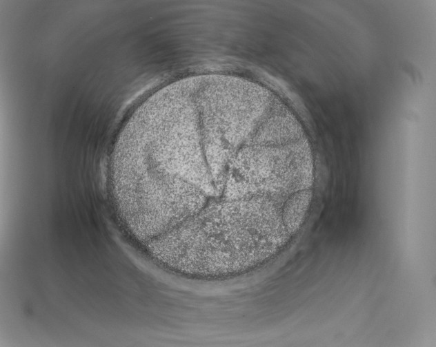 X0000112900010200910021444