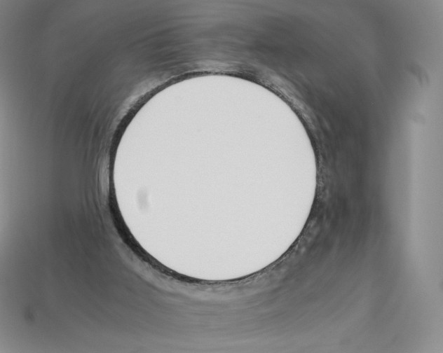 X0000112900011200910021444