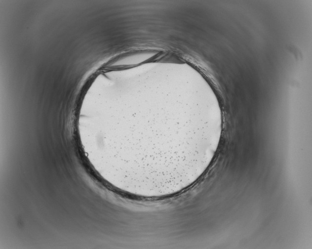 X0000112900012200910021444