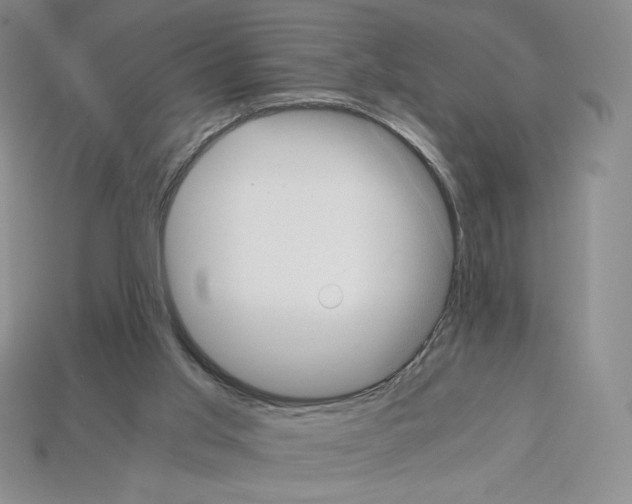X0000112900013200910021444