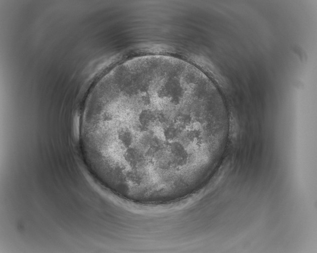 X0000112900014200910021444