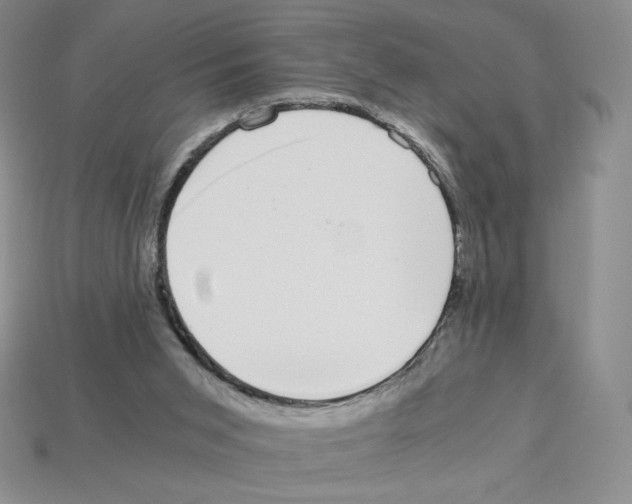 X0000112900015200910021444