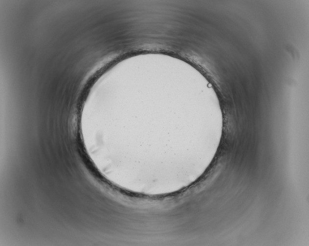 X0000112900016200910021444