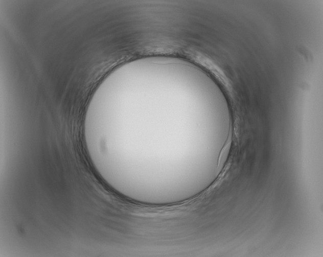X0000112900017200910021444