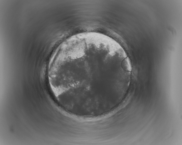 X0000112900018200910021444
