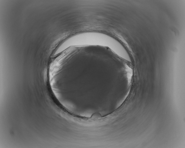 X0000112900019200910021444