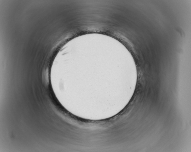 X0000112900020200910021444