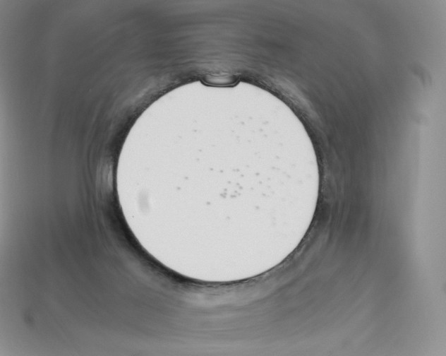 X0000112900021200910021443