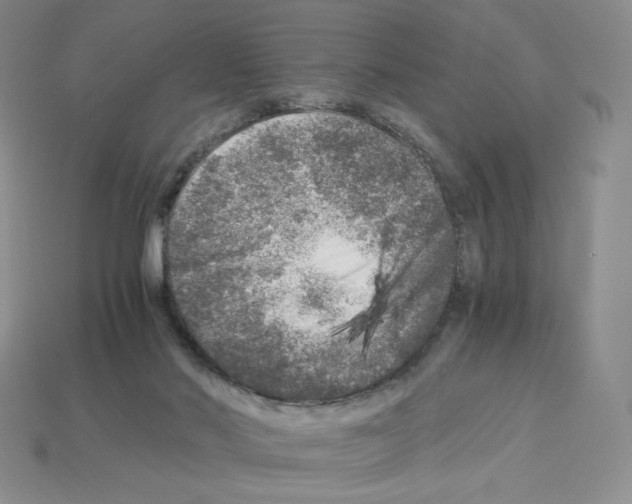 X0000112900022200910021443