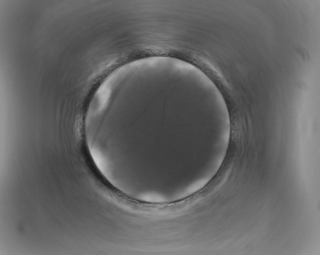 X0000112900023200910021443