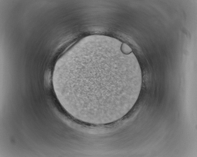 X0000112900024200910021443
