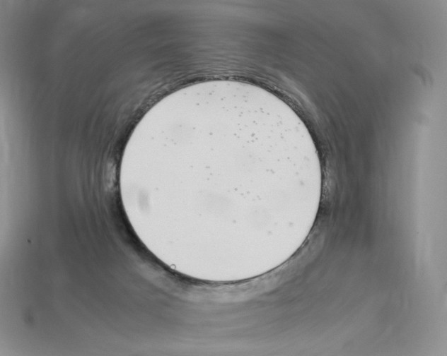 X0000112900025200910021443