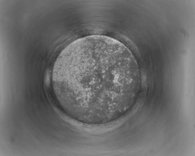 X0000112900026200910021443