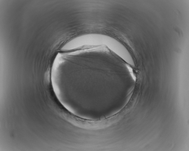 X0000112900027200910021443