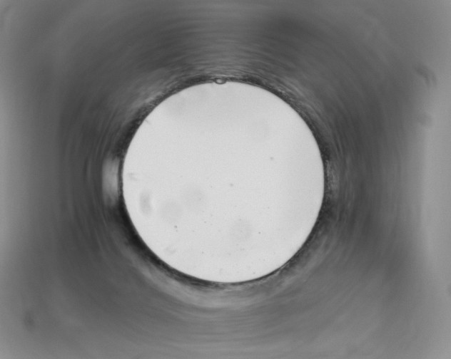 X0000112900028200910021443