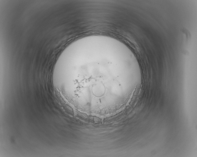 X0000112900029200910021443