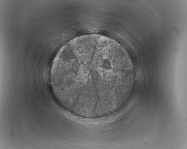 X0000112900030200910021443