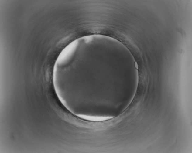 X0000112900031200910021443
