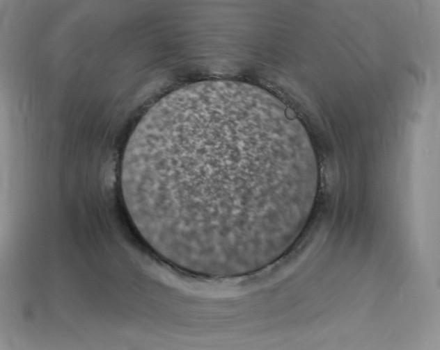 X0000112900032200910021443