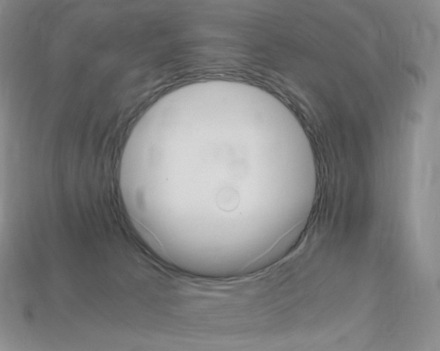 X0000112900033200910021443