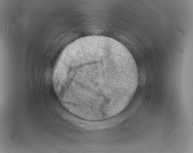 X0000112900034200910021443